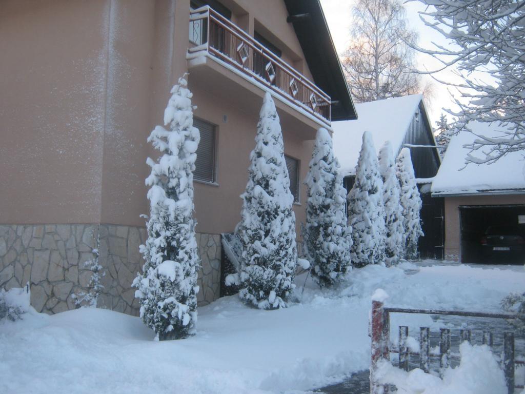 Hotel House Pribic Vrelo Koreničko Exteriér fotografie